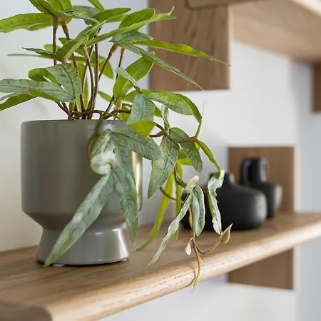 Private Garden Oasis, A Charming Flat In Bonfim Apartment Fouto